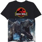Jurassic World Boys Split Vertical Short Sleeve Tyrannosaurus Rex Dinosaur T-Shirt, Boys Sizes 8-16 (10/12, Black)