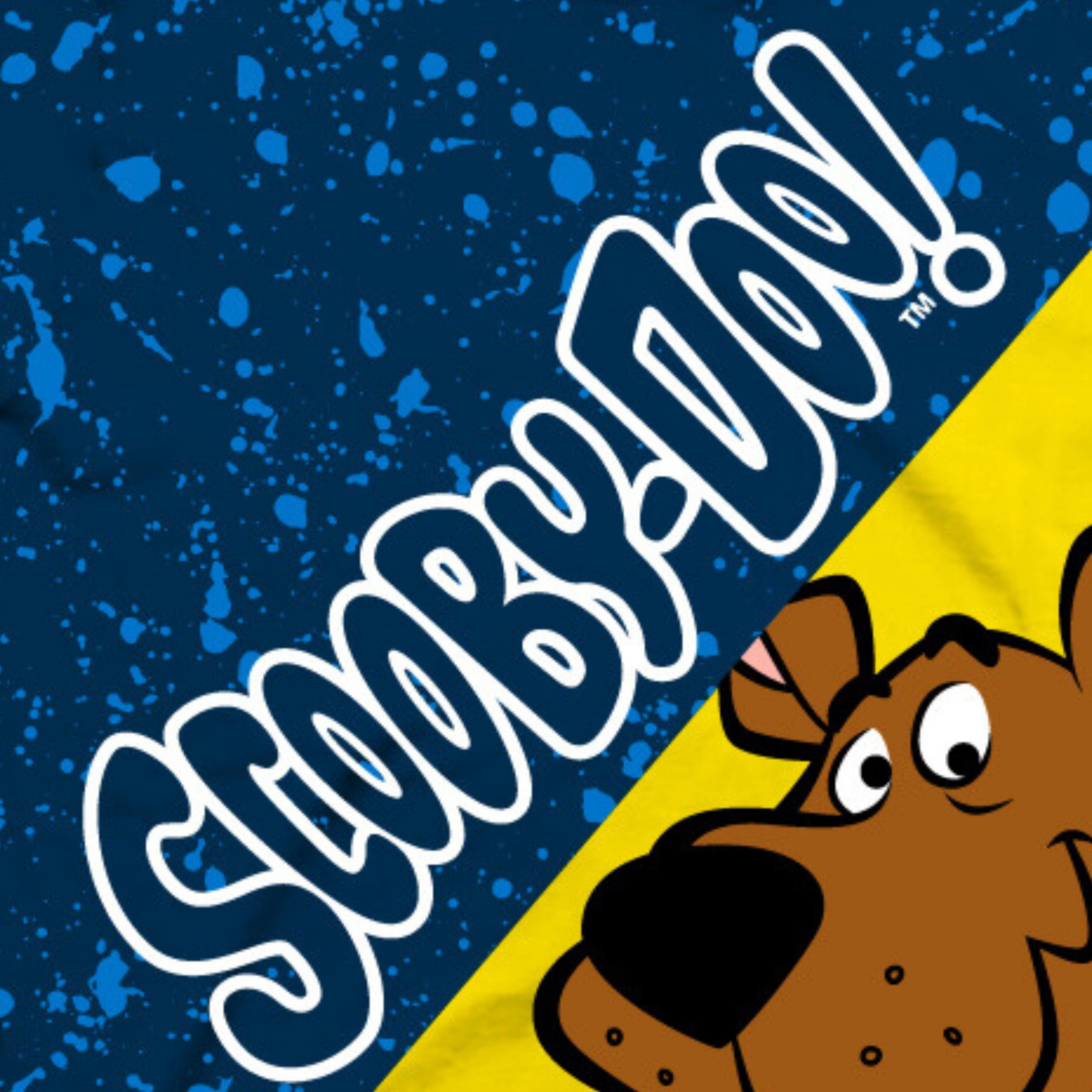 Scooby-Doo Boys T-Shirt - Graphic Design Split T-Shirt and All Over Print Boys Sizes 4-20