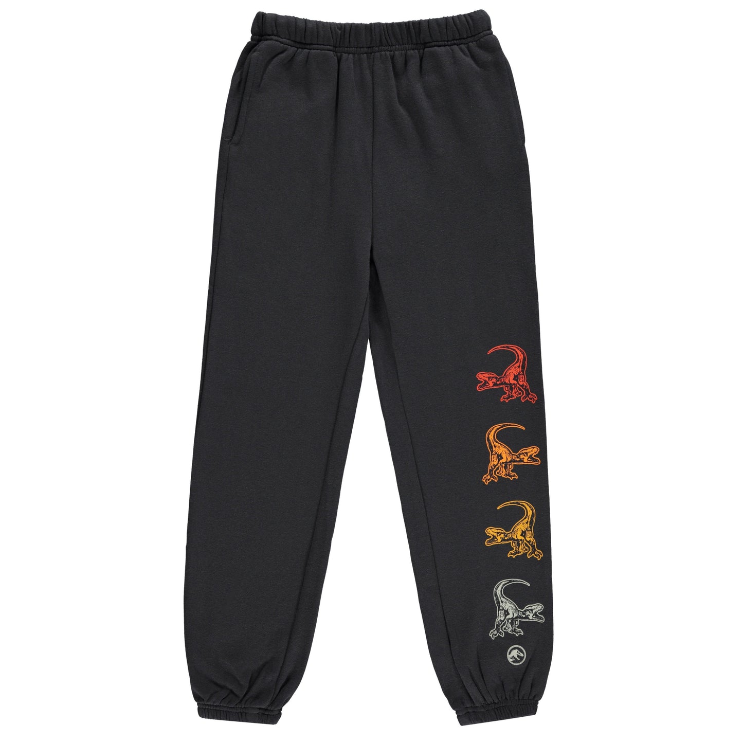 Jurassic Park Boys Dinosaurs Jogger Sweatpants -Little and Big Boys Sizes 4-7 Black