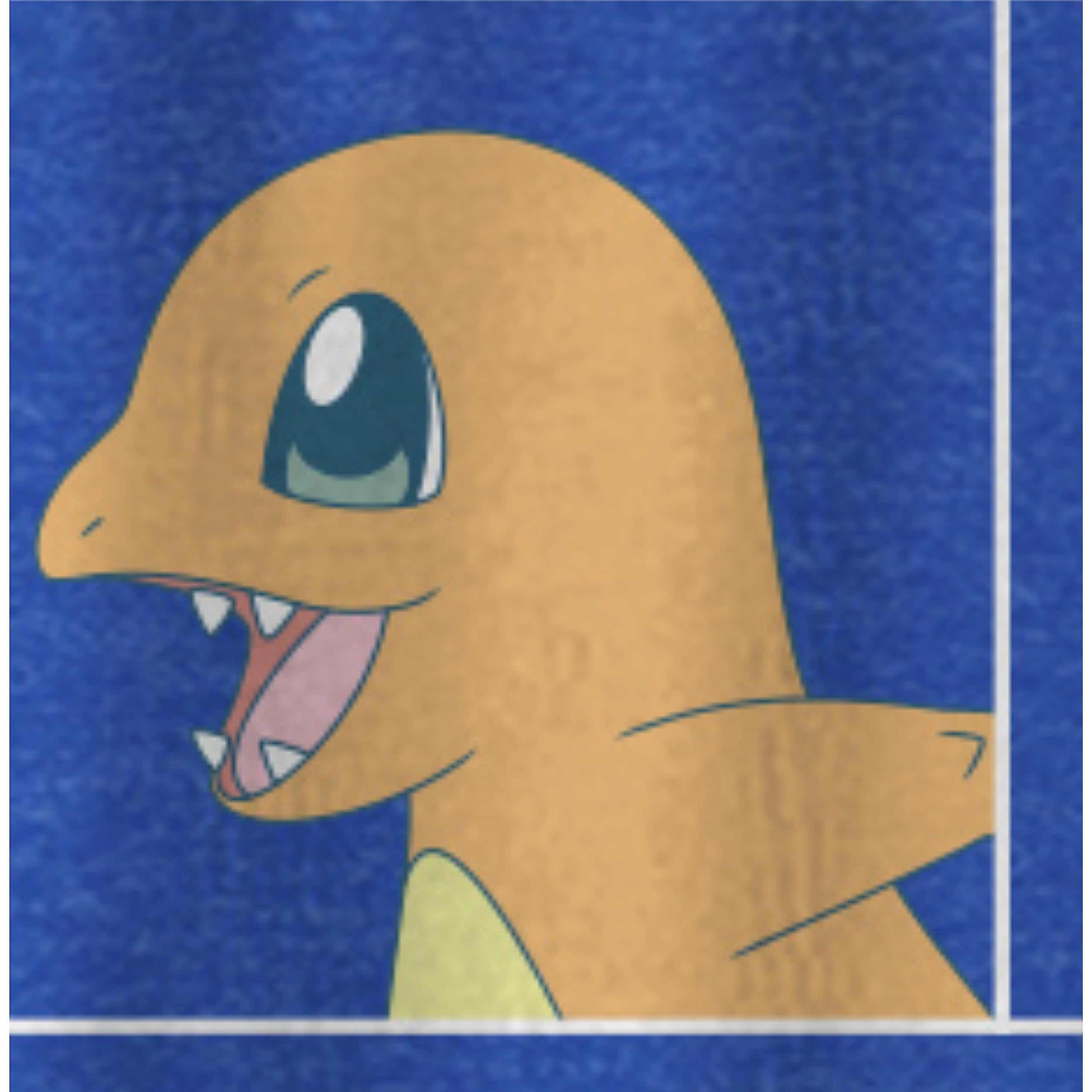 Pokemon Big Boys Charizard Long Sleeve T-Shirt Charizard Team Evolution