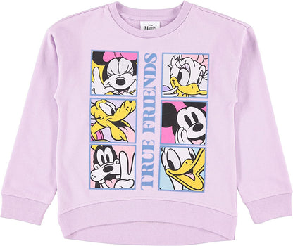 Disney girls Minnie Mouse, Lion King Girls Fleece Sweatshirt and T-shirt 2 Piece Bundle Outfit Set