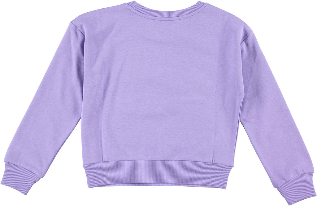 Minnie Mouse Girls Sweatshirt -Jumbo Print and Embroidery Minnie Mouse Sweater- Sizes 4-16