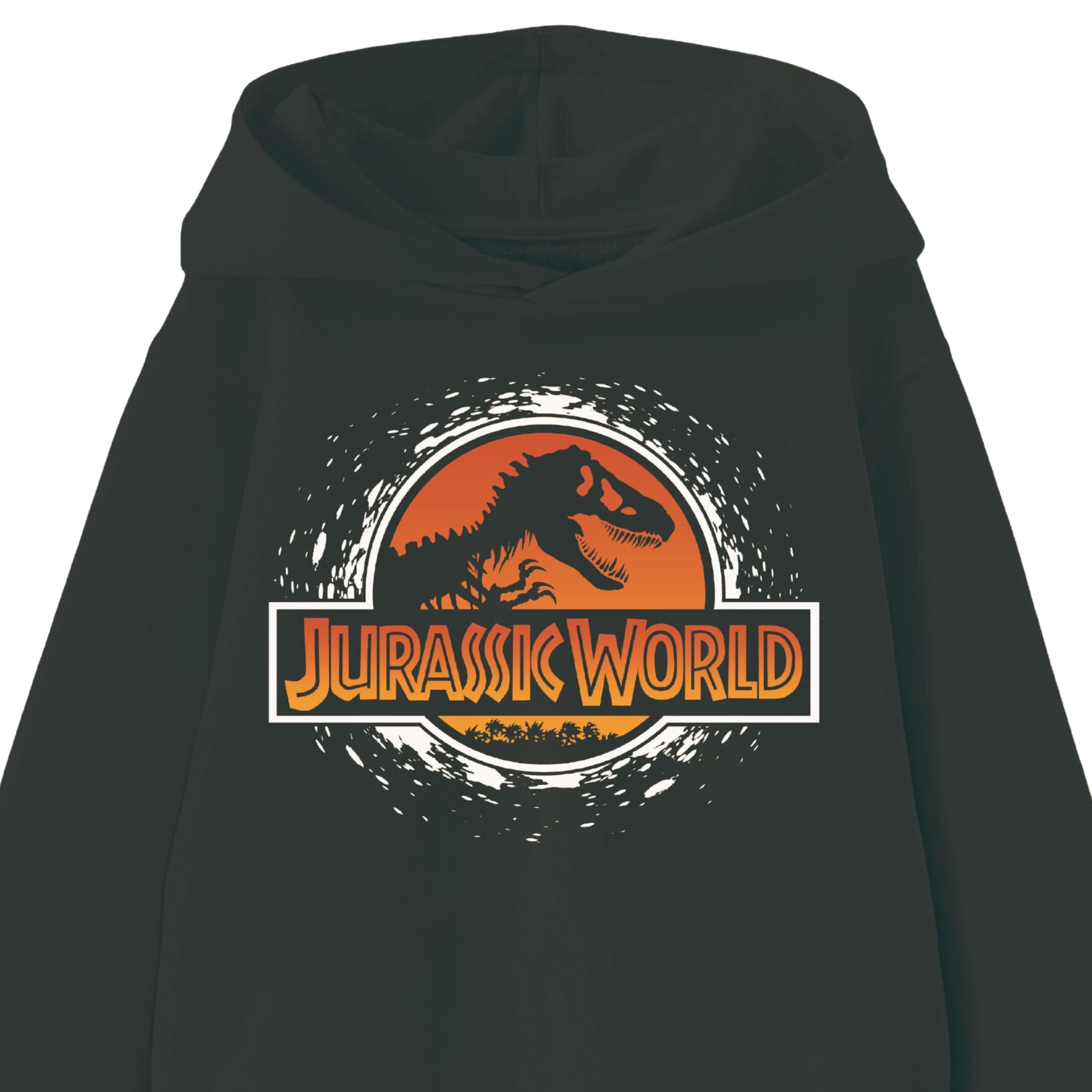 Jurassic World Boys Pullover Hoodie, Dinosaur Graphic Fleece Sweatshirt, Black, Sizes 4–20