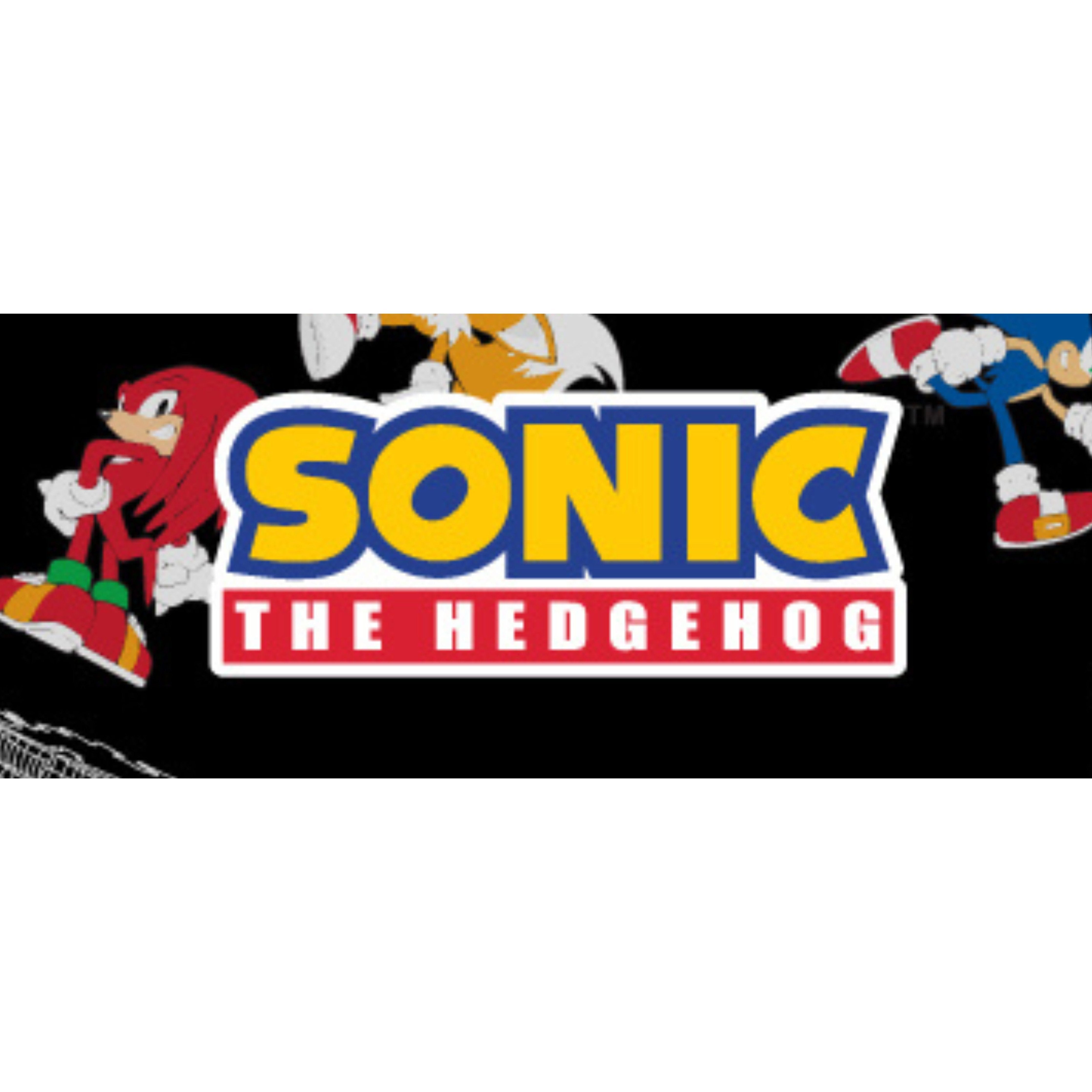 Boys Sonic the Hedgehog T-Shirt Sega Graphic Short Sleeve Crewneck Tee Little Big Boys
