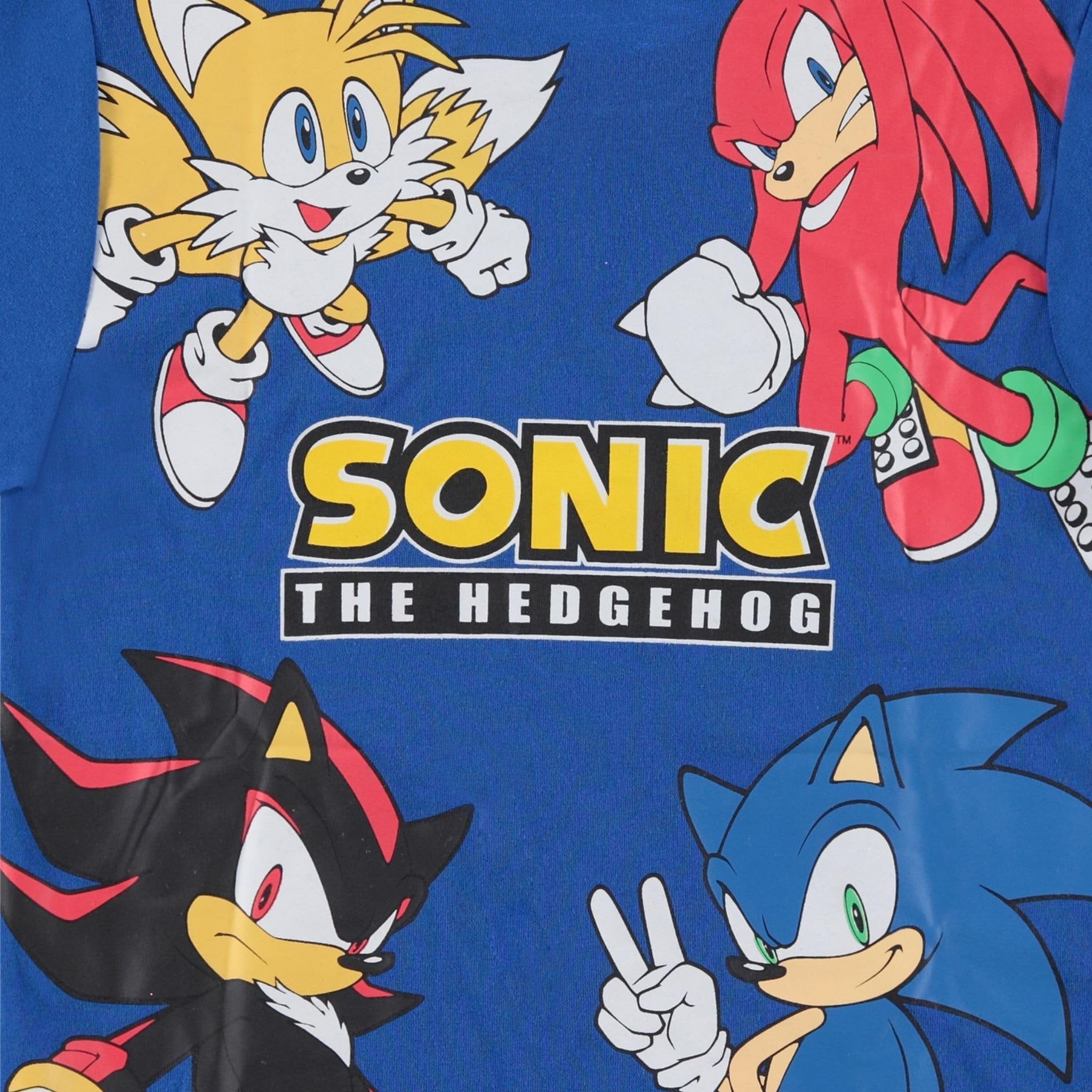 Boy's Sonic The Hedgehog Short Sleeve T-Shirt and Shorts Set