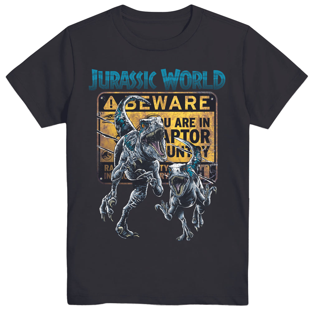 Jurassic World Boys Split Vertical Short Sleeve Tyrannosaurus Rex Dinosaur T-Shirt, Boys Sizes 8-16 (10/12, Black)