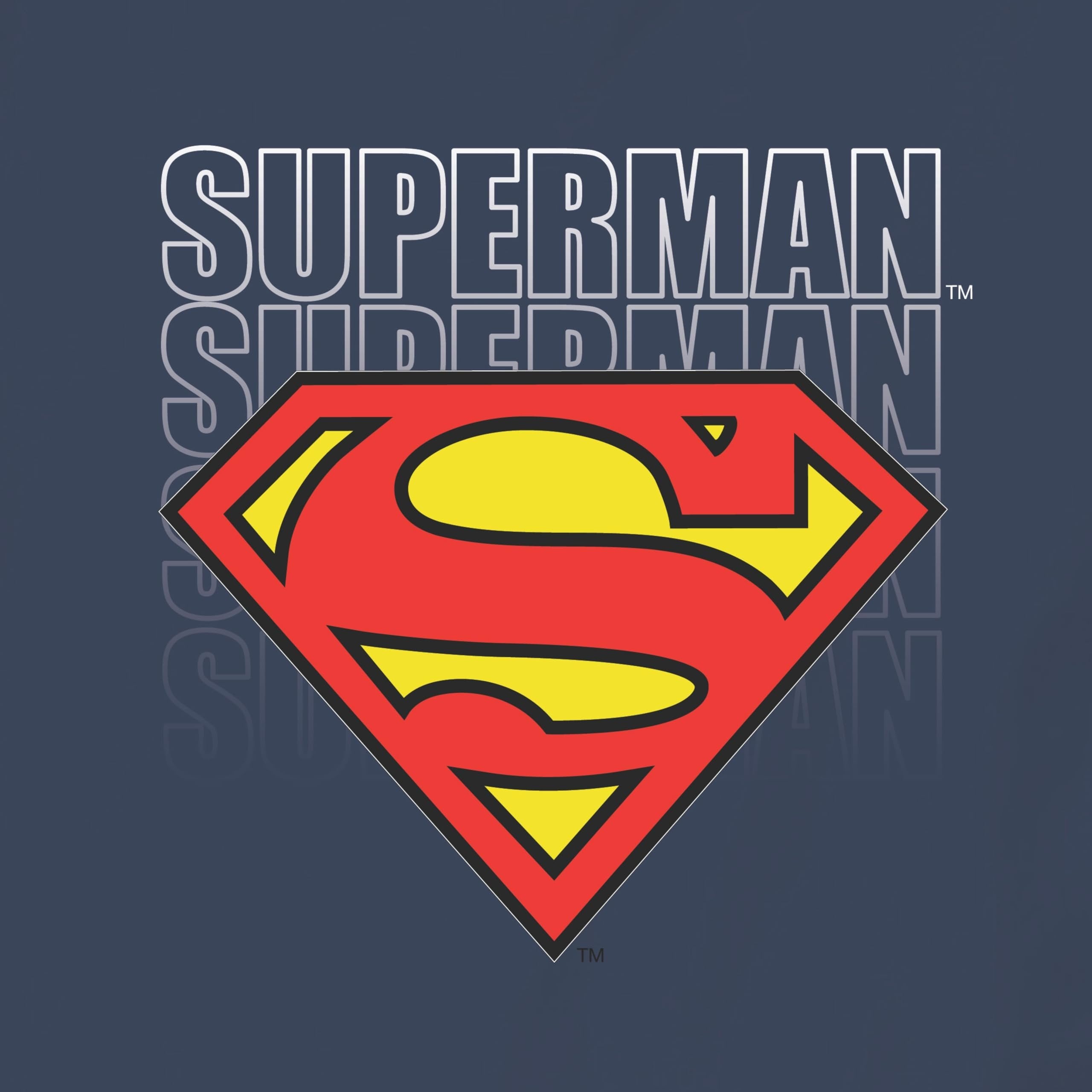 Navy Classic Toddler Boys Superman Forever Logo T-Shirt – Sizes 2T, 3T, 4T