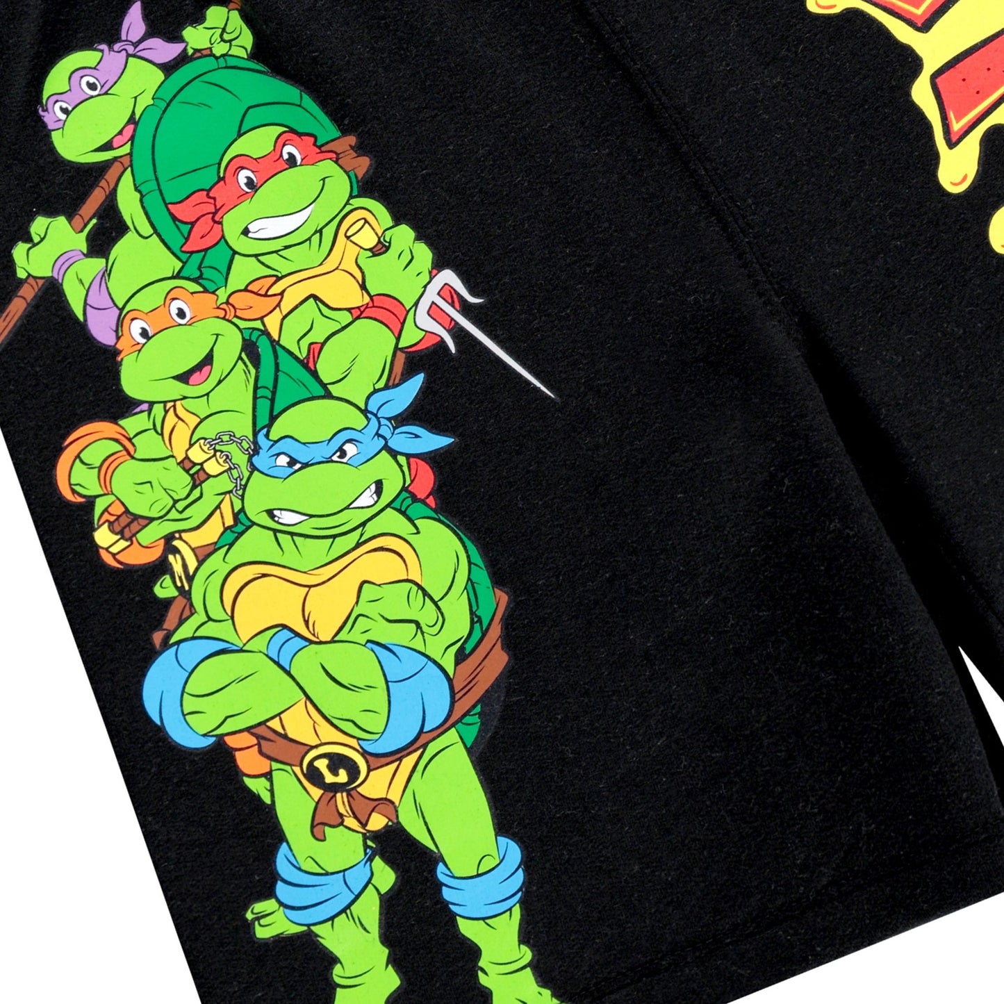 Teenage Mutant Ninja Turtles Boys Hoodie and Shorts Clothing Set- Little and Big Boys Sizes 4-20