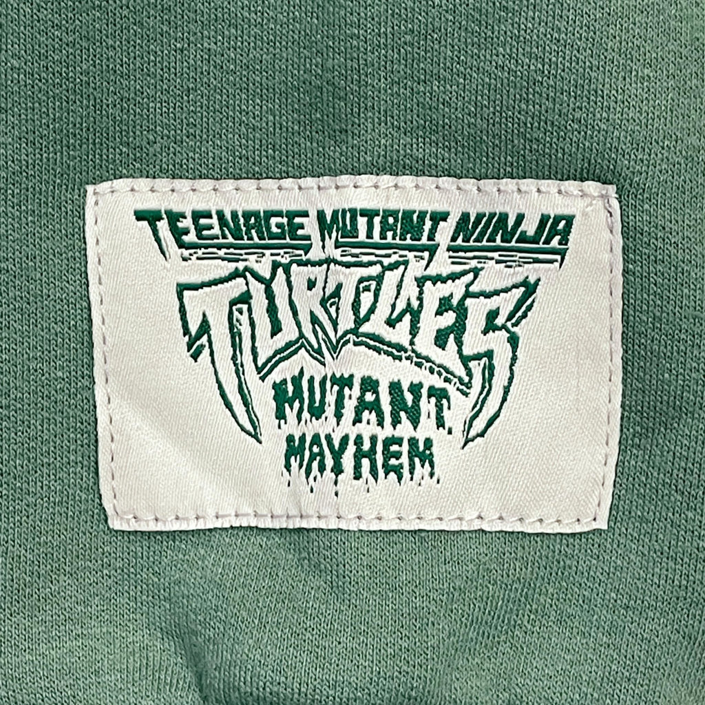 Teenage Mutant Ninja Turtles Boys Hoodie- Leonardo, Michelangelo, Donatello and Raphael Sizes 4-7