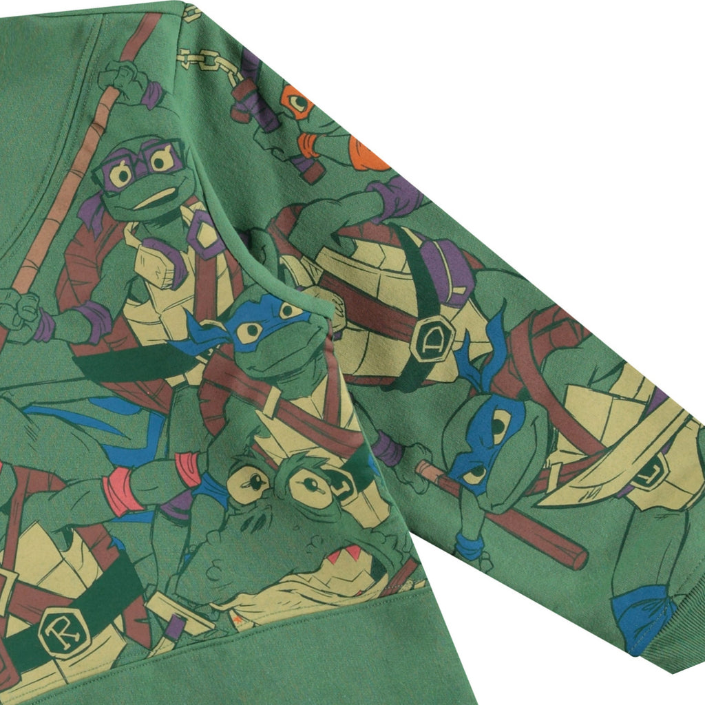 Teenage Mutant Ninja Turtles Boys Hoodie- Leonardo, Michelangelo, Donatello and Raphael Sizes 4-7
