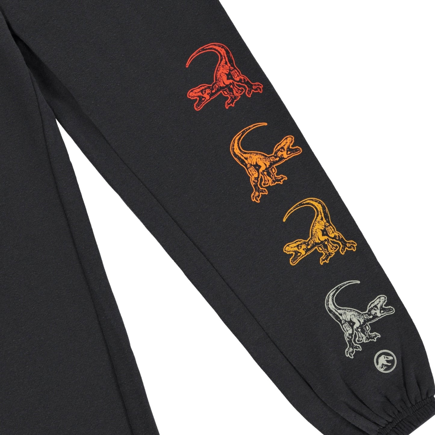 Jurassic Park Boys Dinosaurs Jogger Sweatpants -Little and Big Boys Sizes 4-7 Black