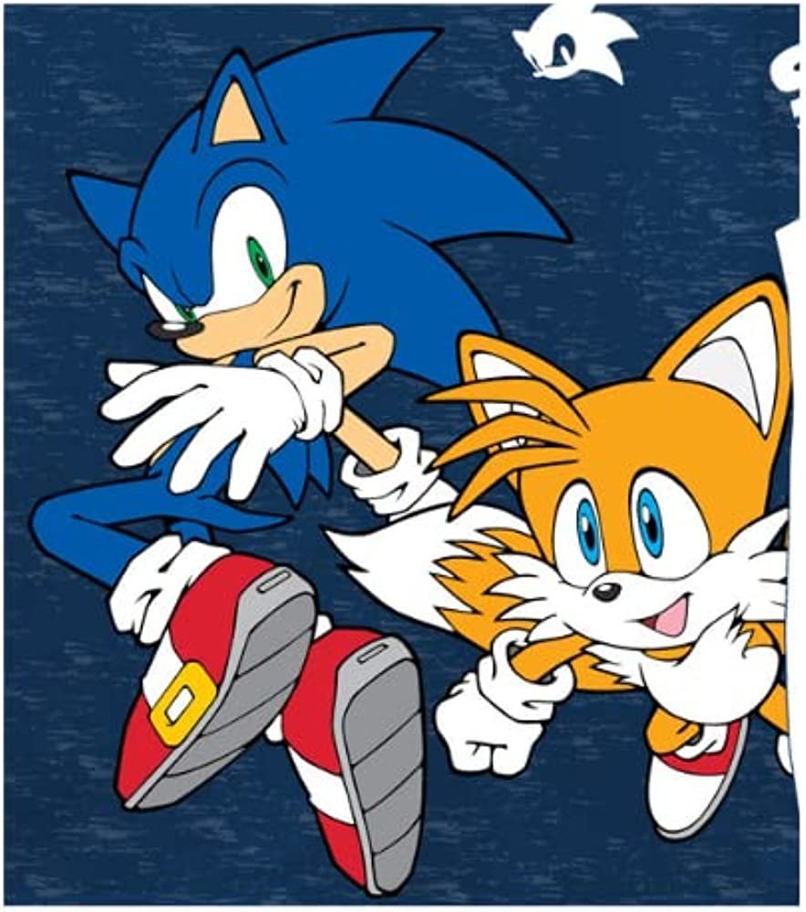 Boys Sonic the Hedgehog T-Shirt Sega Graphic Short Sleeve Crewneck Tee Little Big Boys