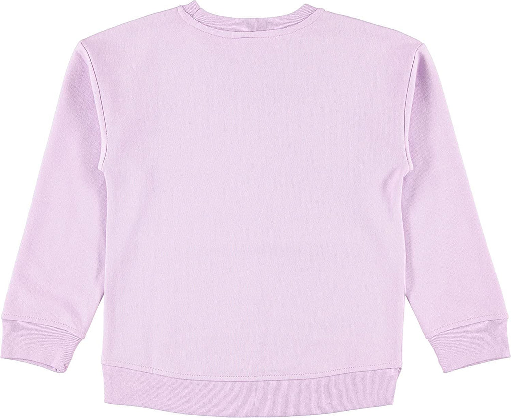 Disney girls Minnie Mouse, Lion King Girls Fleece Sweatshirt and T-shirt 2 Piece Bundle Outfit Set