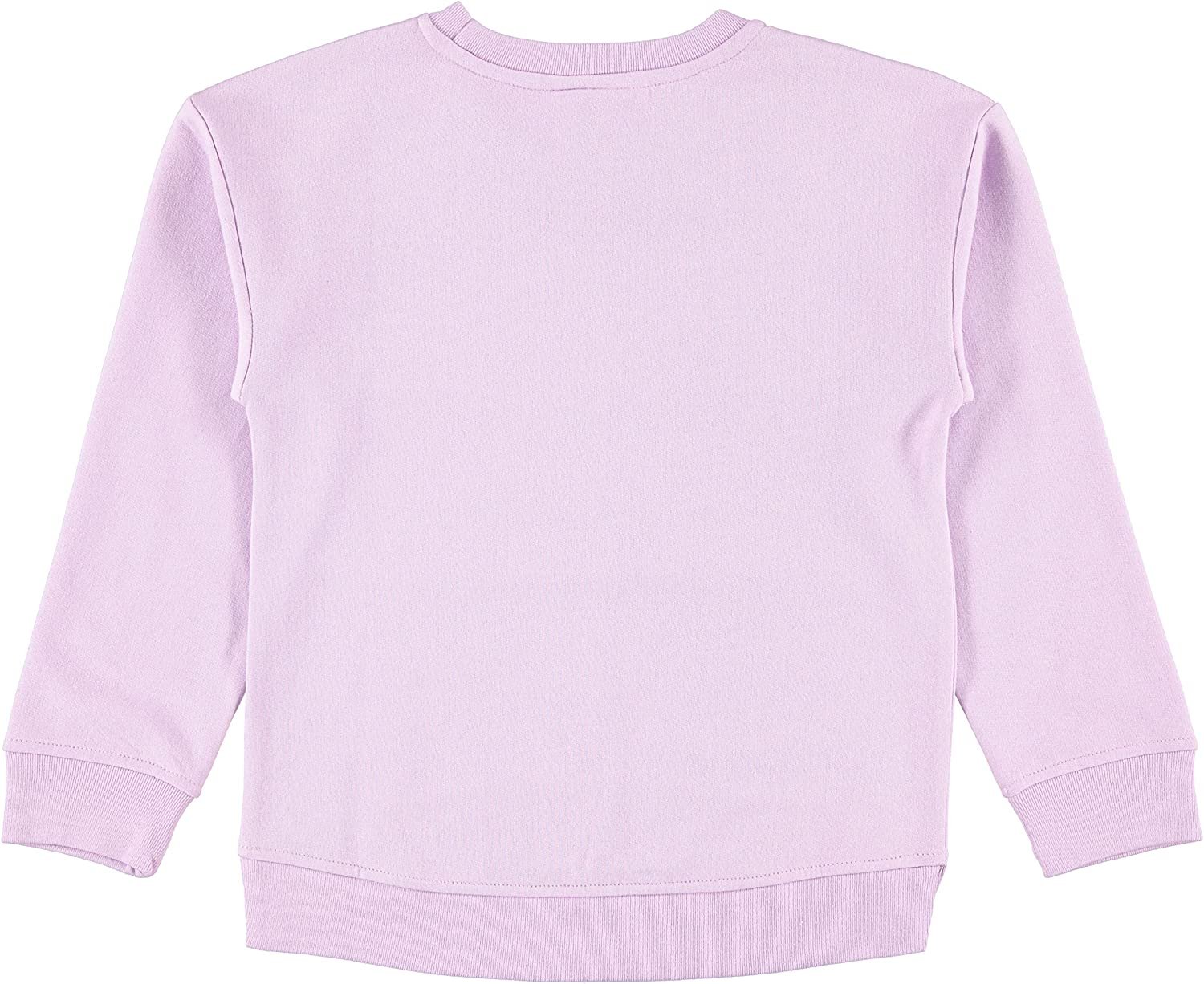 Disney girls Minnie Mouse, Lion King Girls Fleece Sweatshirt and T-shirt 2 Piece Bundle Outfit Set