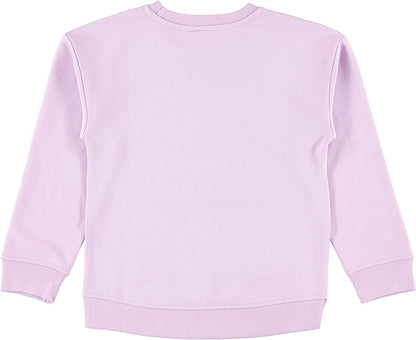 Disney girls Minnie Mouse, Lion King Girls Fleece Sweatshirt and T-shirt 2 Piece Bundle Outfit Set