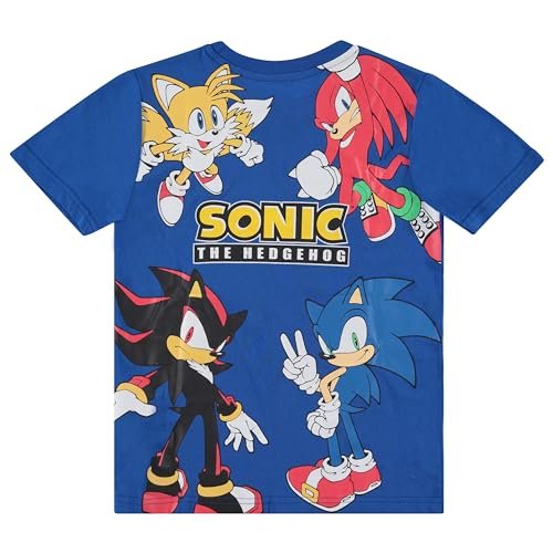 Boy's Sonic The Hedgehog Short Sleeve T-Shirt and Shorts Set