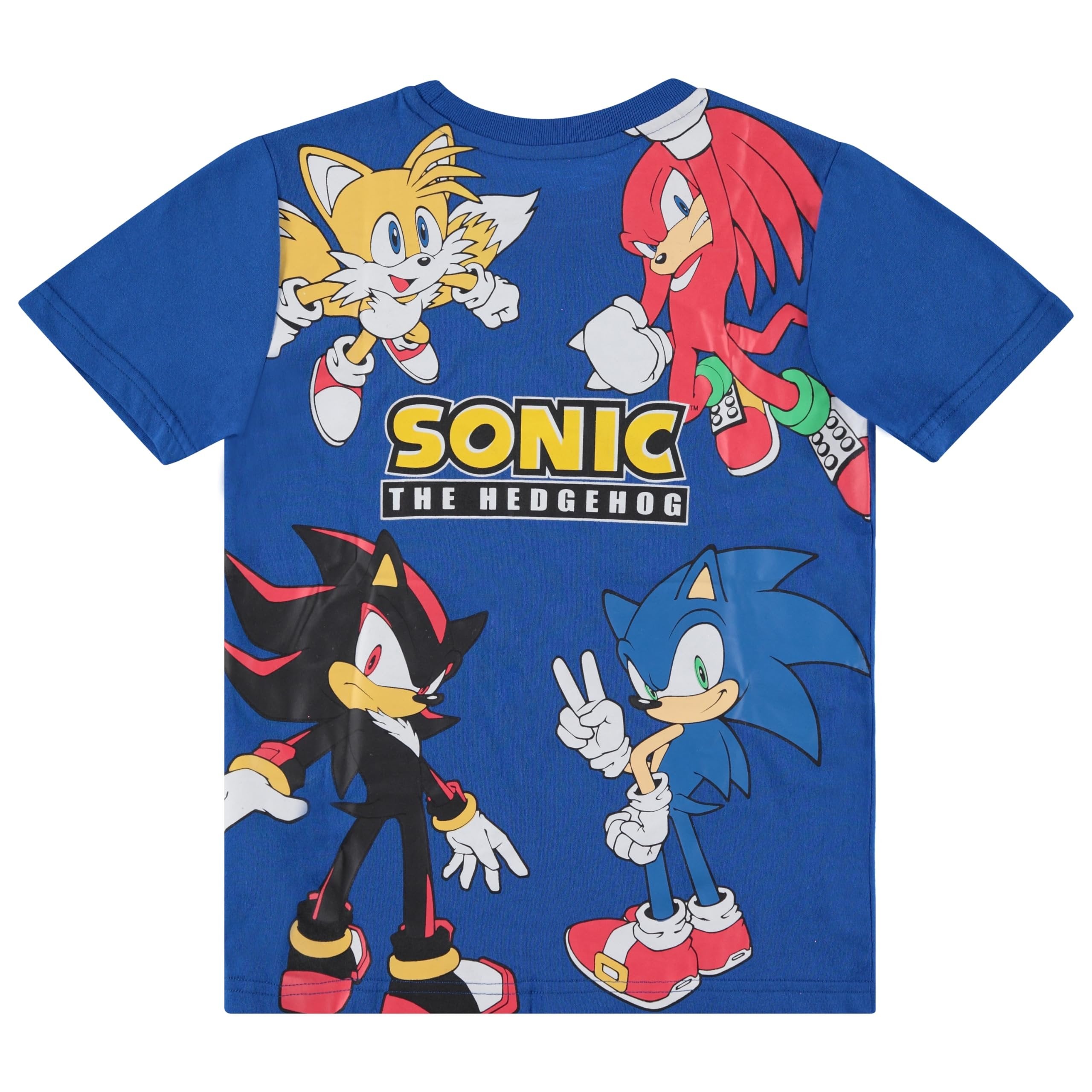 Boy's Sonic The Hedgehog Short Sleeve T-Shirt and Shorts Set
