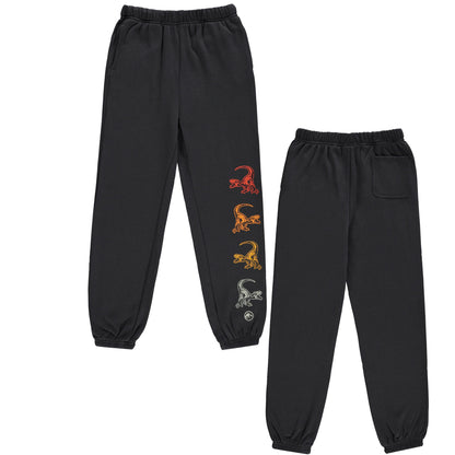 Jurassic Park Boys Dinosaurs Jogger Sweatpants -Little and Big Boys Sizes 4-7 Black