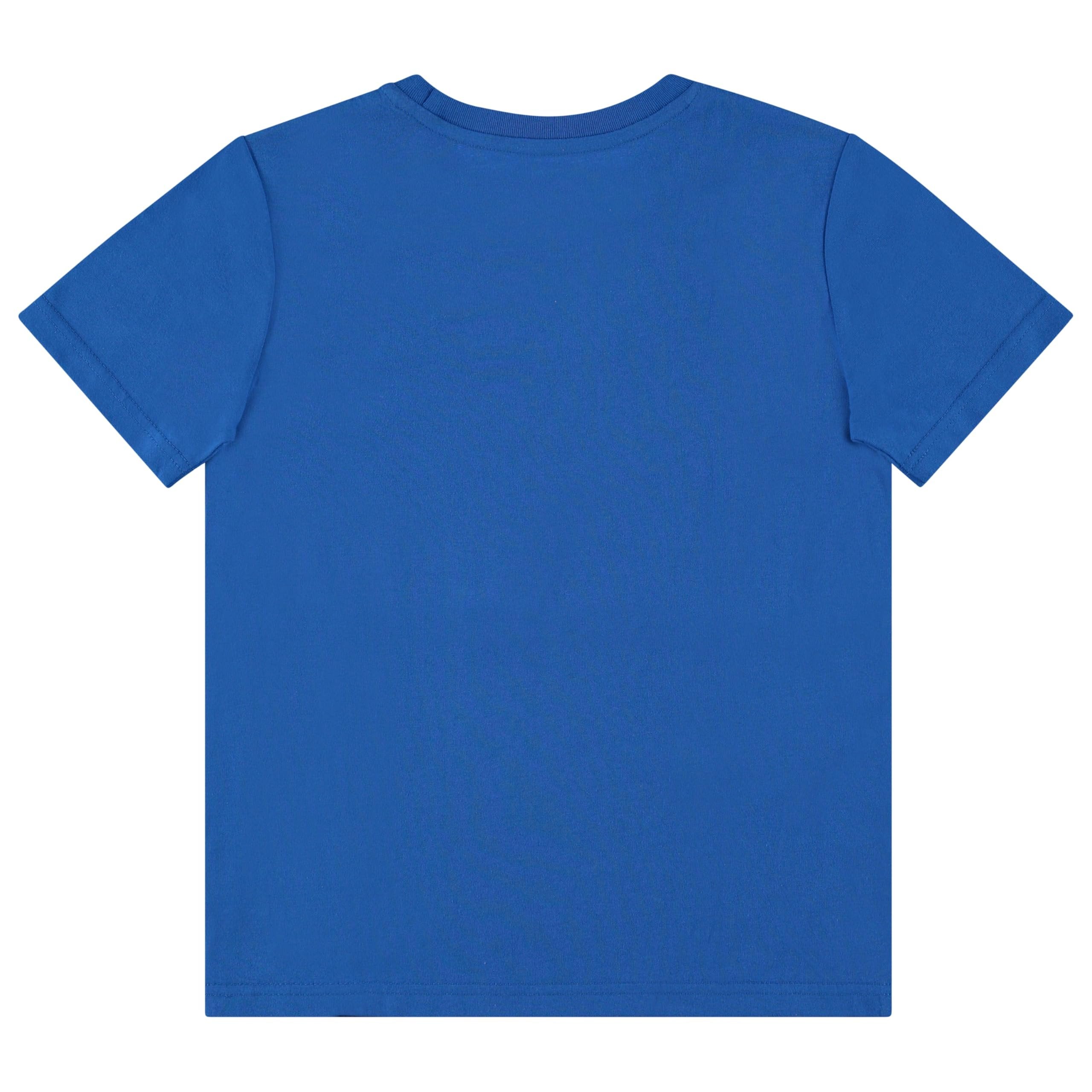 Boys Sonic the Hedgehog T-Shirt Sega Graphic Short Sleeve Crewneck Tee Little Big Boys
