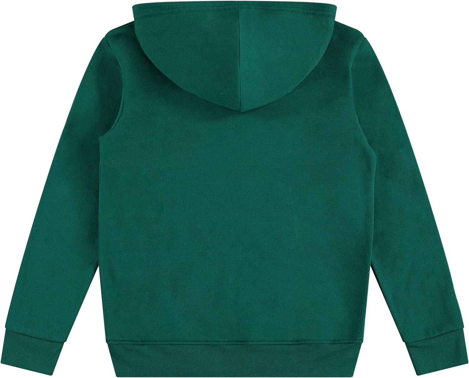 Teenage Mutant Ninja Turtles Pullover Hoodie and Jogger Sweatpants Set, Little and Big Boys Sizes 4-20