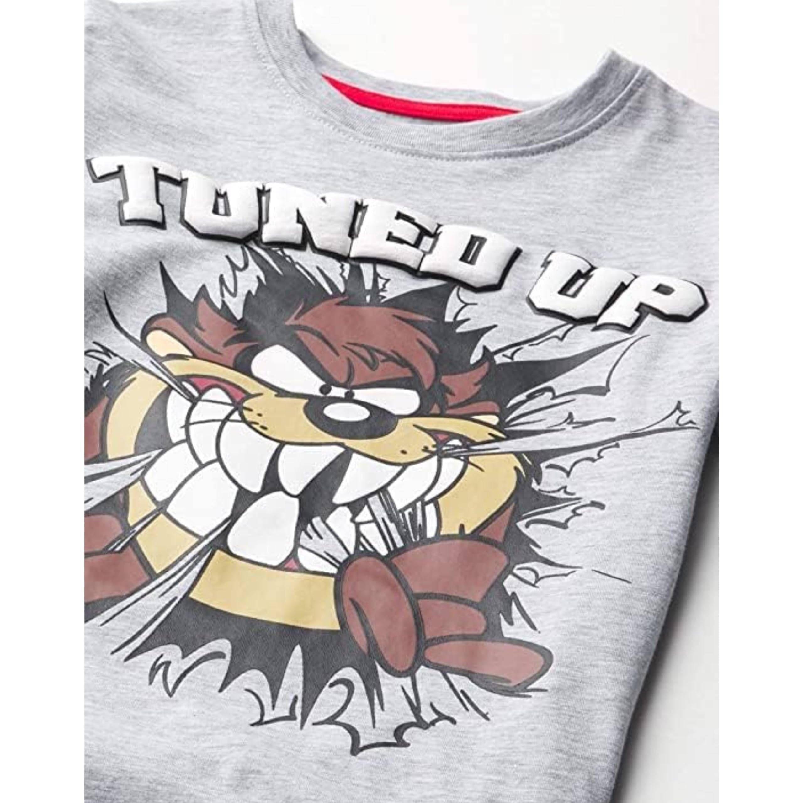 LOONEY TUNES Boys Hoodie and Jogger Pants 2-Piece Outfit Set- Boys Sizes 4-16