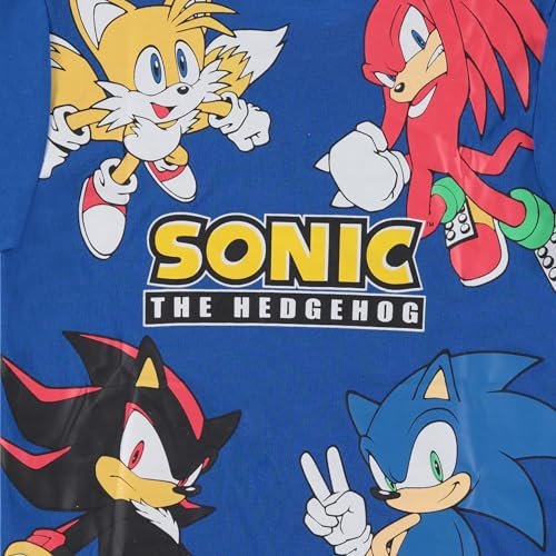 Boy's Sonic The Hedgehog Short Sleeve T-Shirt and Shorts Set