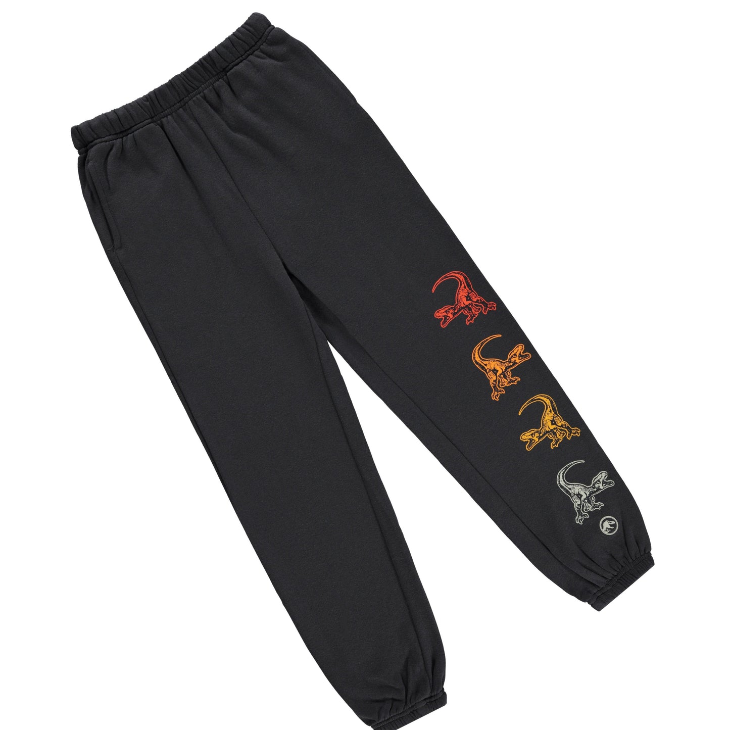 Jurassic Park Boys Dinosaurs Jogger Sweatpants -Little and Big Boys Sizes 4-7 Black