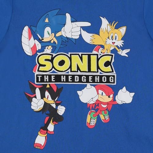 Boy's Sonic The Hedgehog Short Sleeve T-Shirt and Shorts Set