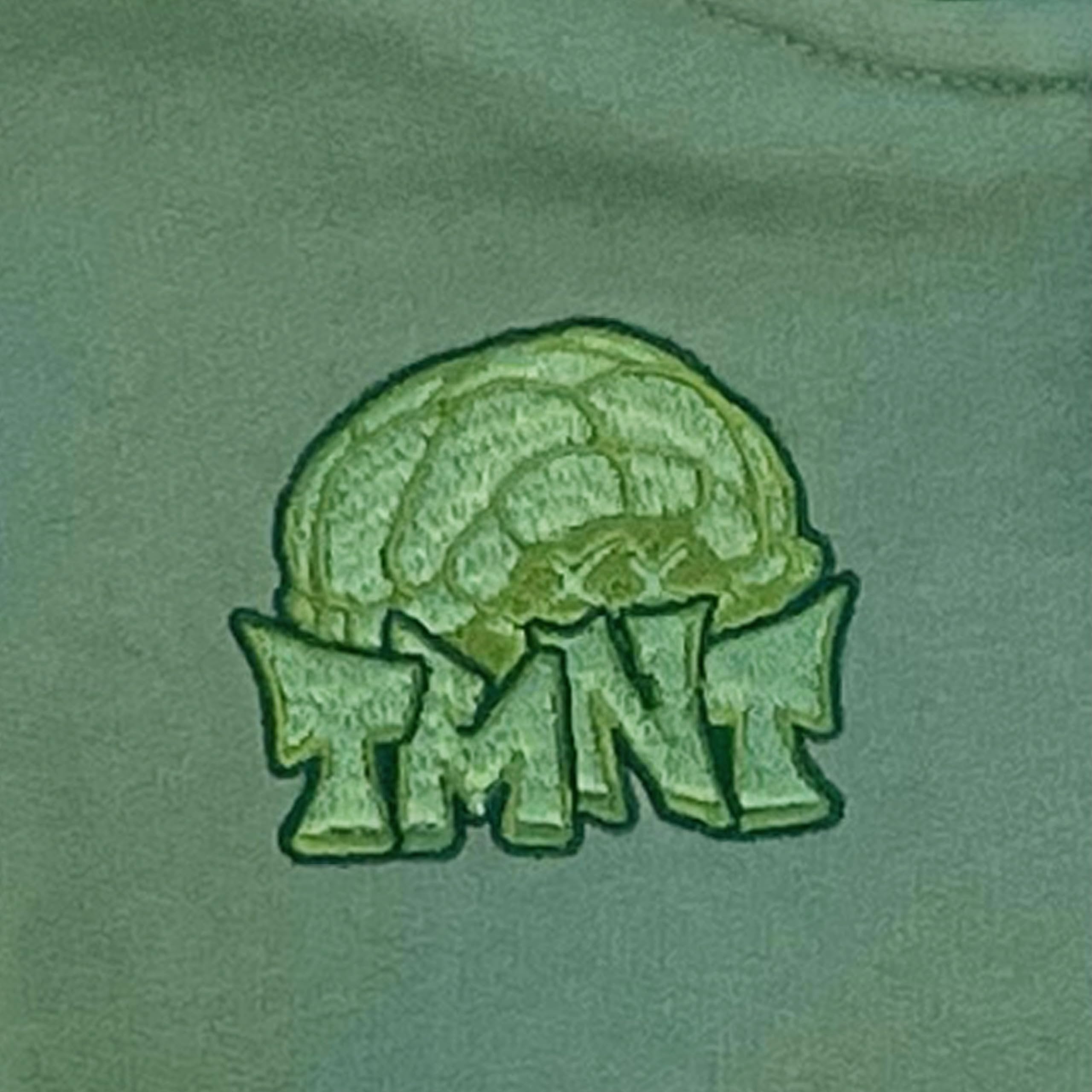 Teenage Mutant Ninja Turtles Boys Hoodie- Leonardo, Michelangelo, Donatello and Raphael Sizes 4-7