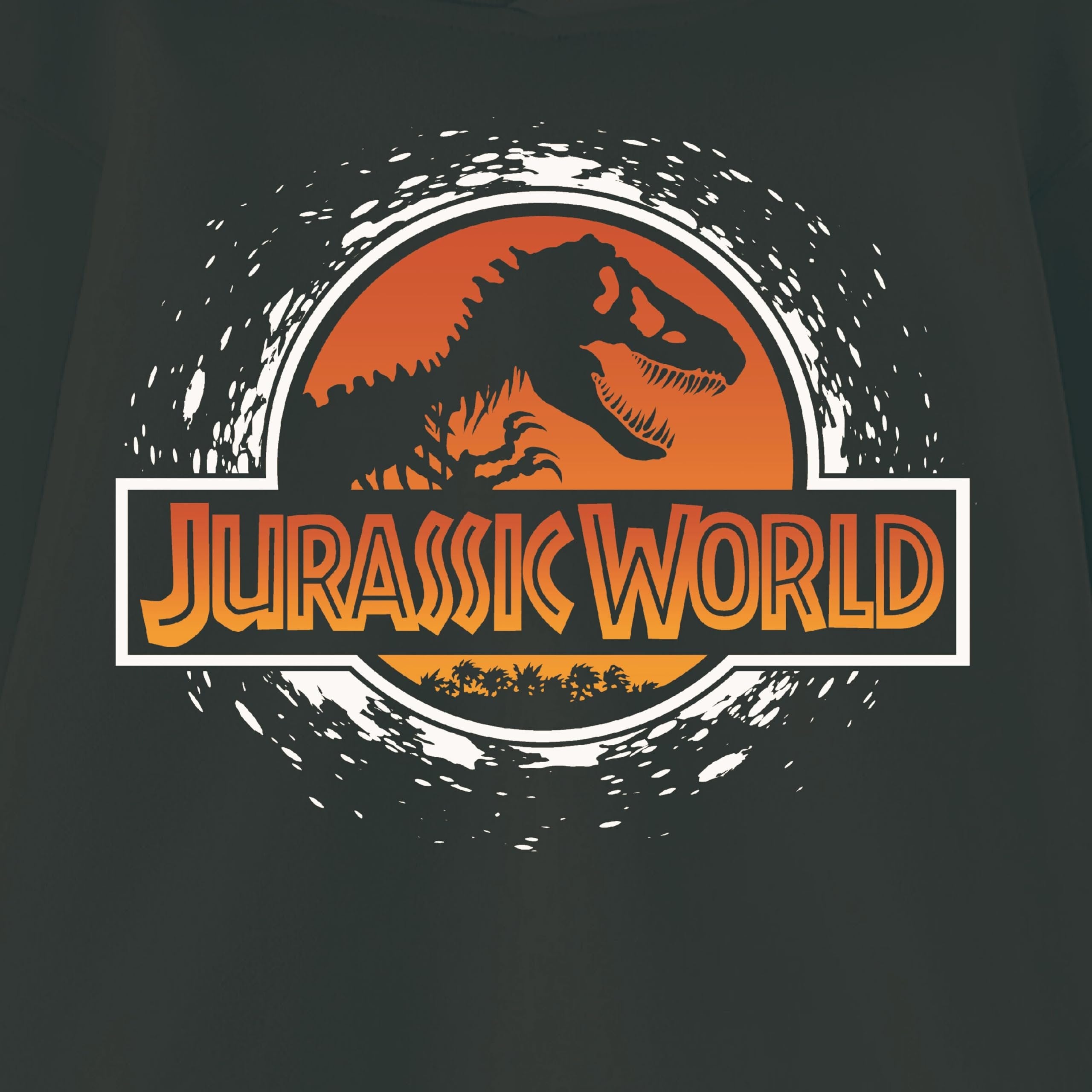 Jurassic World Boys Pullover Hoodie, Dinosaur Graphic Fleece Sweatshirt, Black, Sizes 4–20