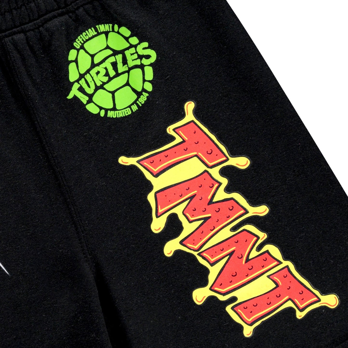 Teenage Mutant Ninja Turtles Boys Hoodie and Shorts Clothing Set- Little and Big Boys Sizes 4-20