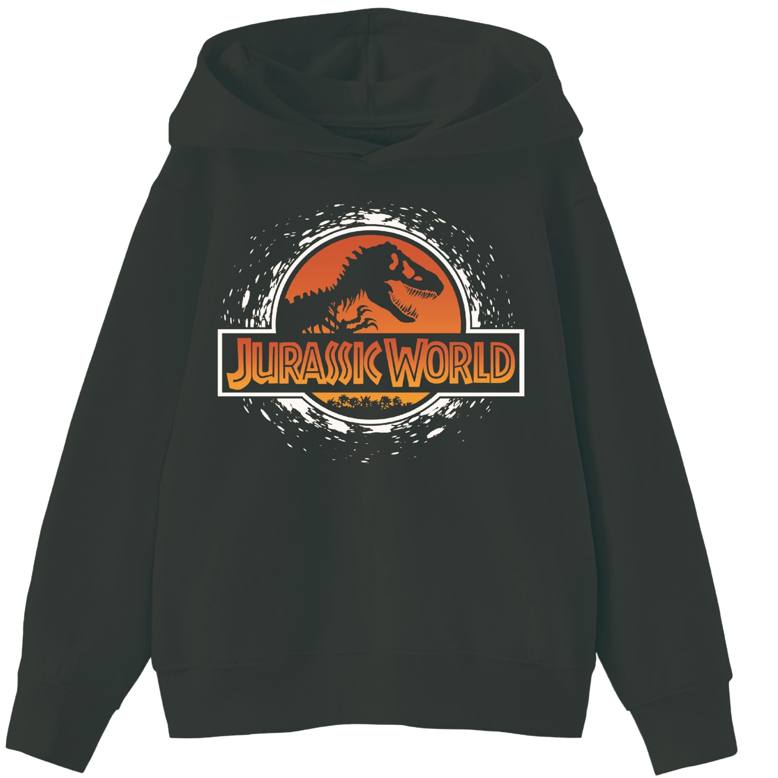 Jurassic World Boys Pullover Hoodie, Dinosaur Graphic Fleece Sweatshirt, Black, Sizes 4–20