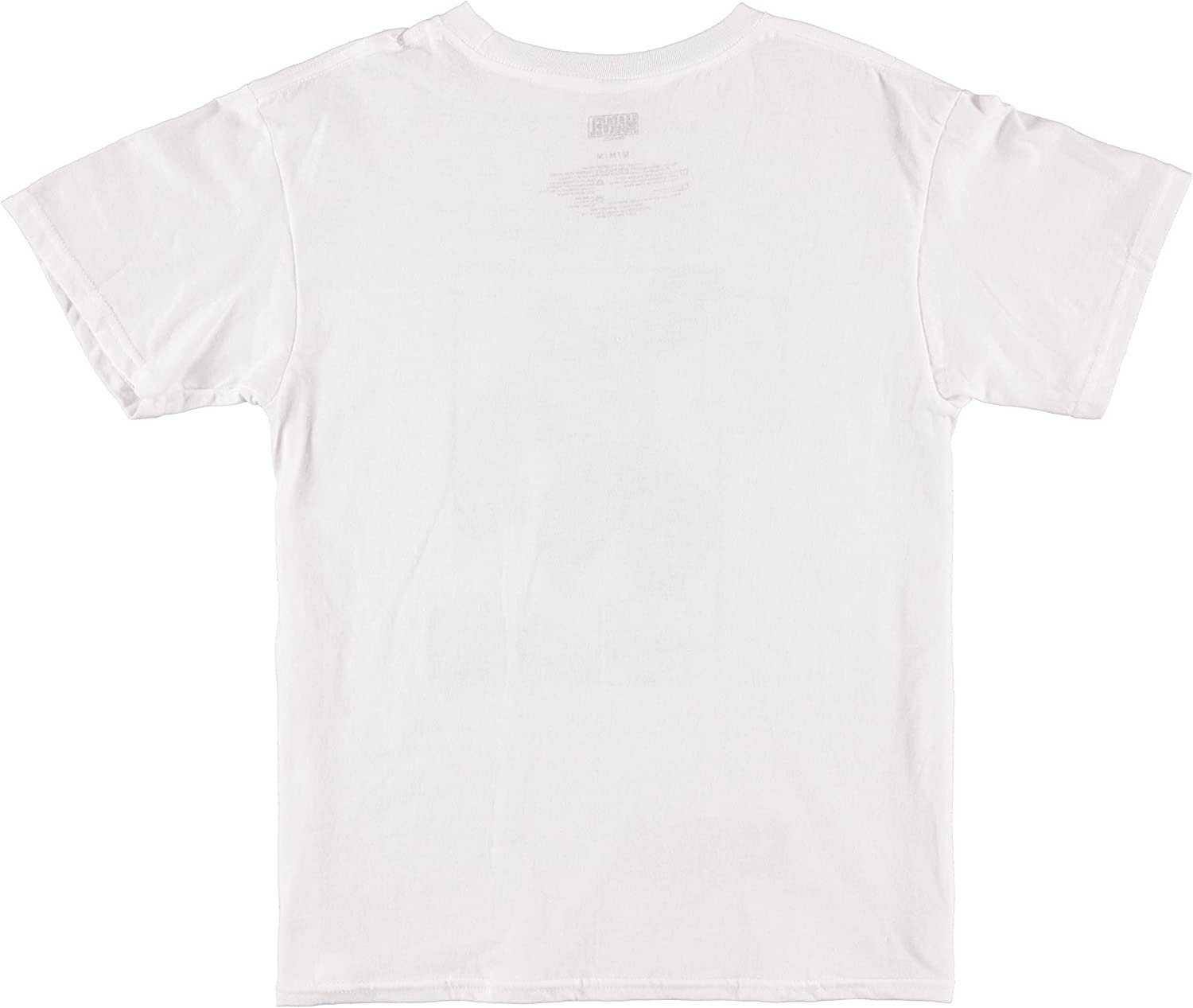 Marvel Boys Avengers The Incredible Hulk Short Sleeve T-Shirt