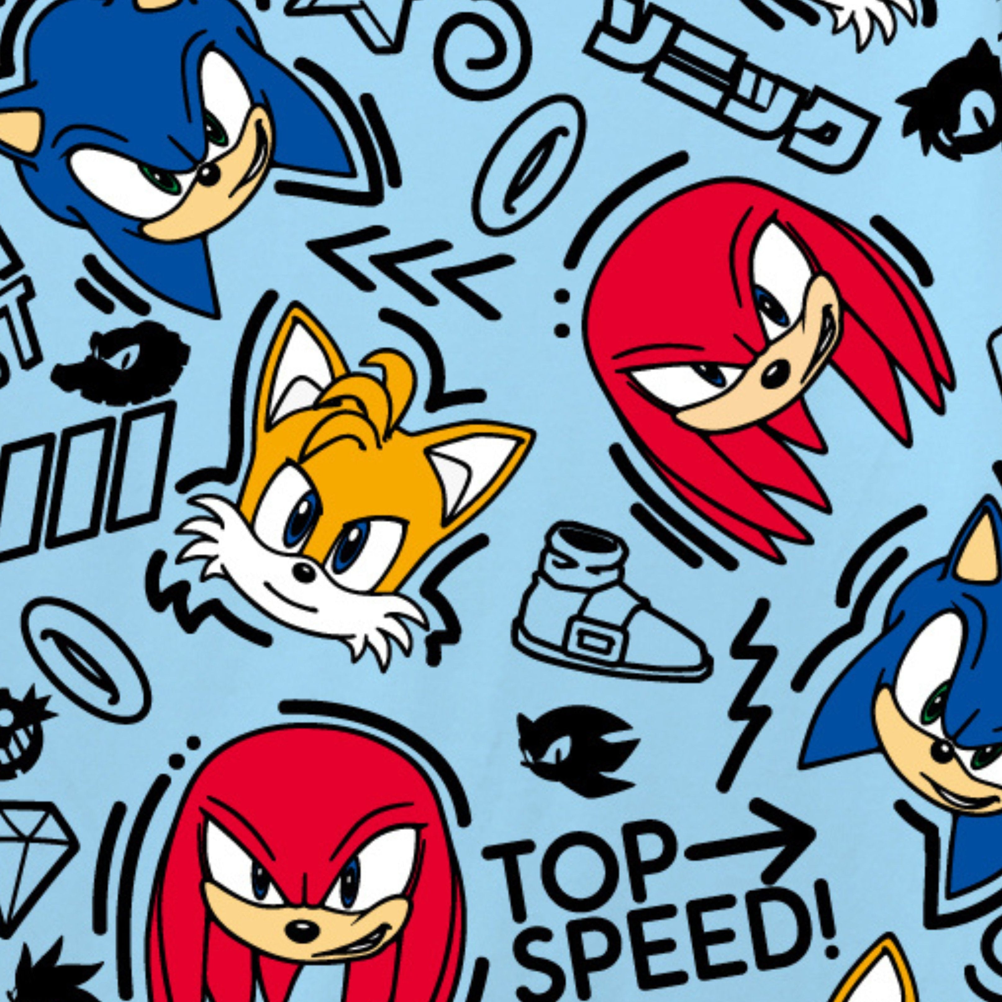 Boys Sonic the Hedgehog T-Shirt Sega Graphic Short Sleeve Crewneck Tee Little Big Boys