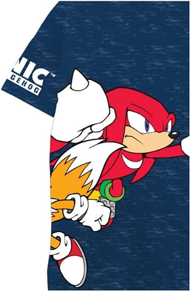 Boys Sonic the Hedgehog T-Shirt Sega Graphic Short Sleeve Crewneck Tee Little Big Boys