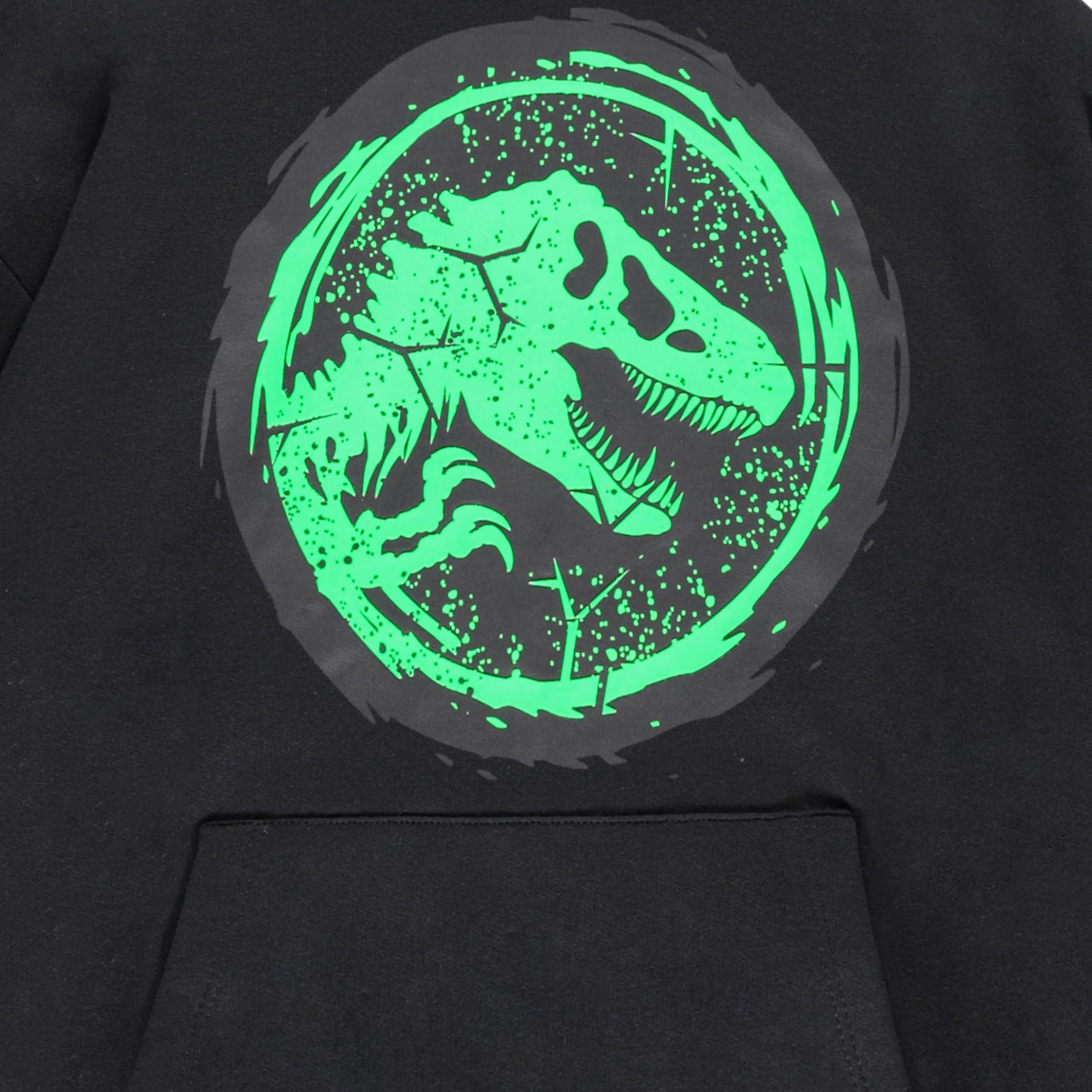 Jurassic World Boys Pullover Hoodie, Dinosaur Graphic Fleece Sweatshirt, Black, Sizes 4–20