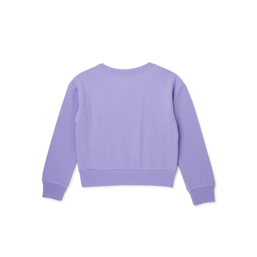 Minnie Mouse Girls Sweatshirt -Jumbo Print and Embroidery Minnie Mouse Sweater- Sizes 4-16