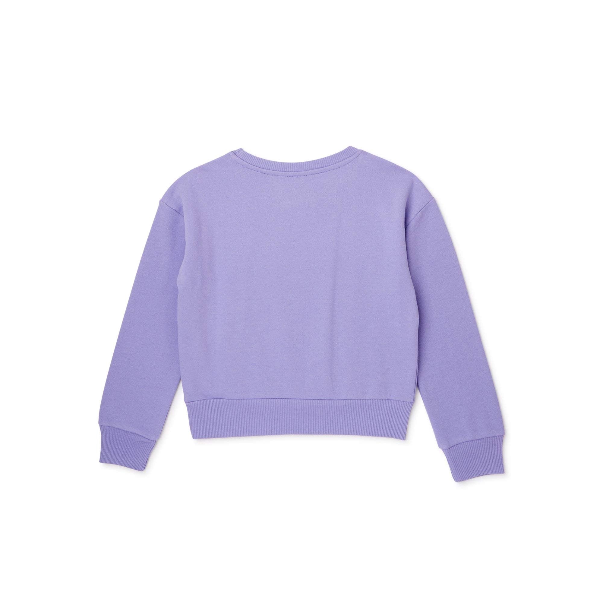 Minnie Mouse Girls Sweatshirt -Jumbo Print and Embroidery Minnie Mouse Sweater- Sizes 4-16