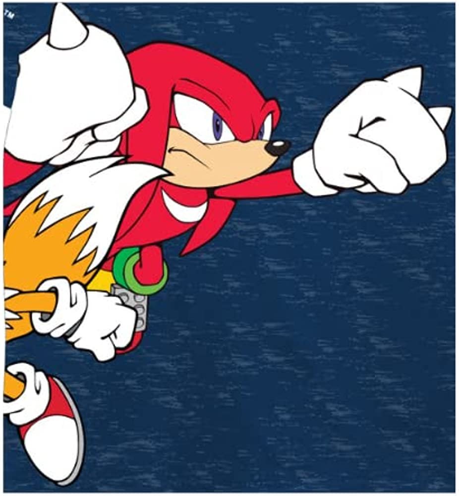 FREEZE Sonic The Hedgehog Boys Short Sleeve T-Shirt - All Over Print Design Sonic Tee