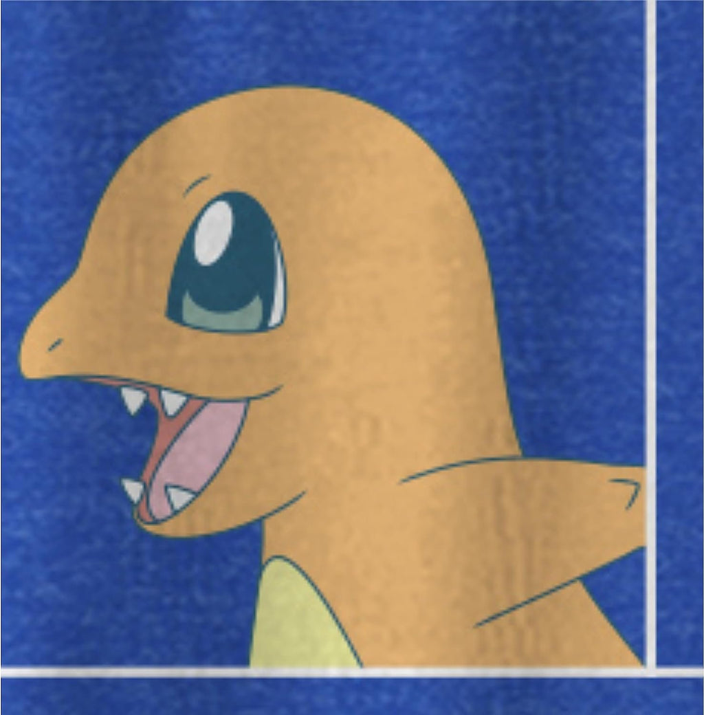 Pokemon Big Boys Charizard Long Sleeve T-Shirt Charizard Team Evolution