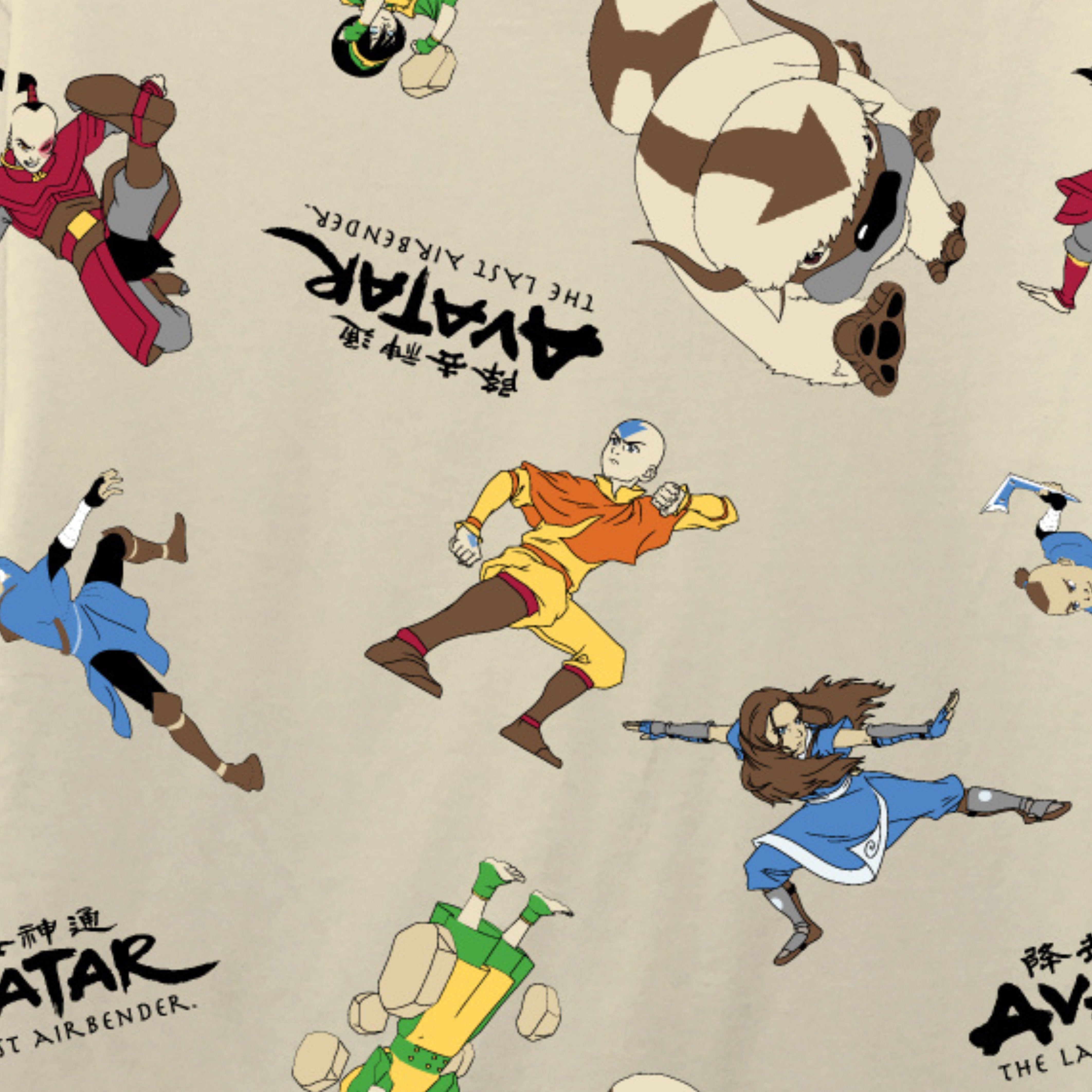 Boys Avatar Short Sleeve T-Shirt - Avatar The Last Airbender T-Shirt- Sizes 8-20