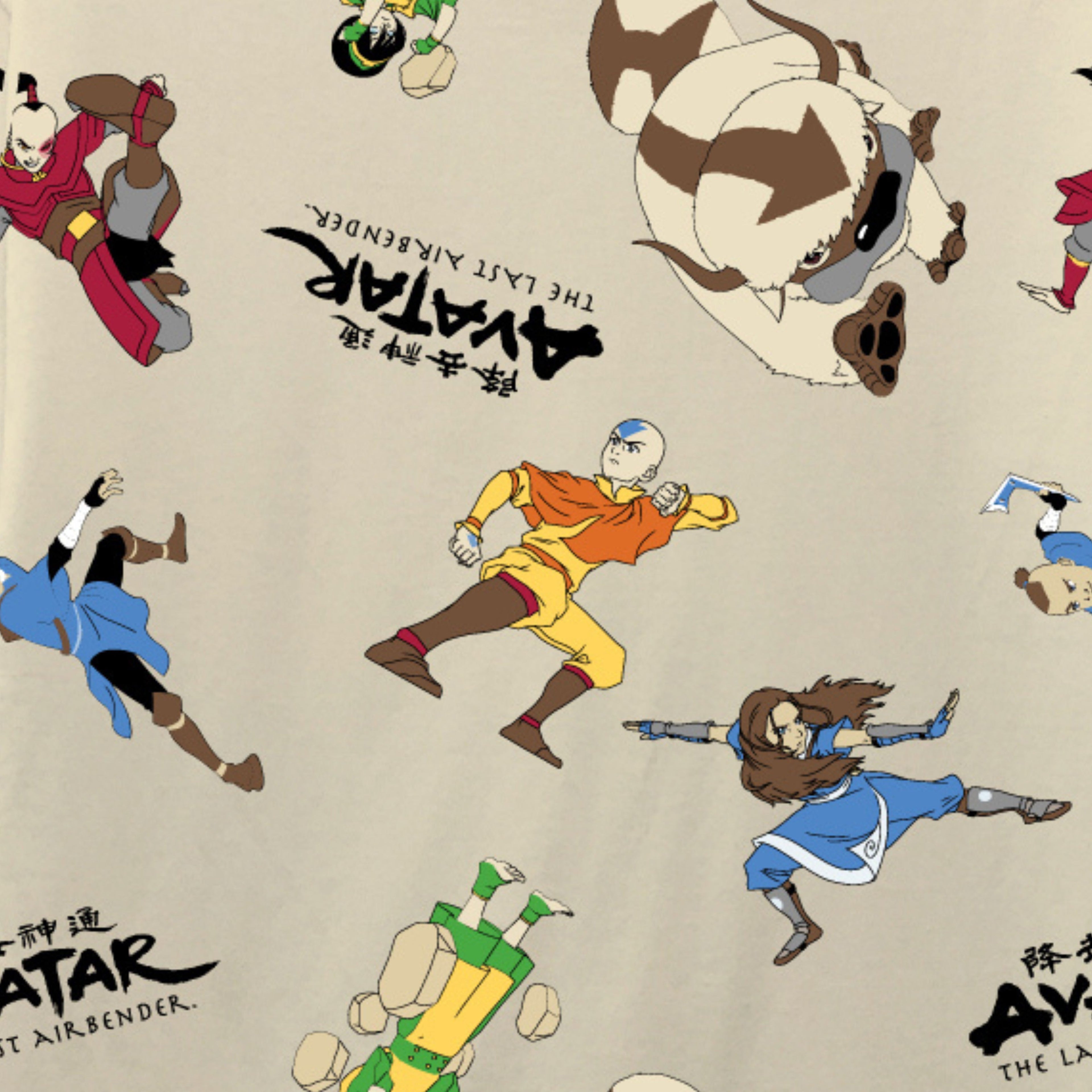 Boys Avatar Short Sleeve T-Shirt - Avatar The Last Airbender T-Shirt- Sizes 8-20