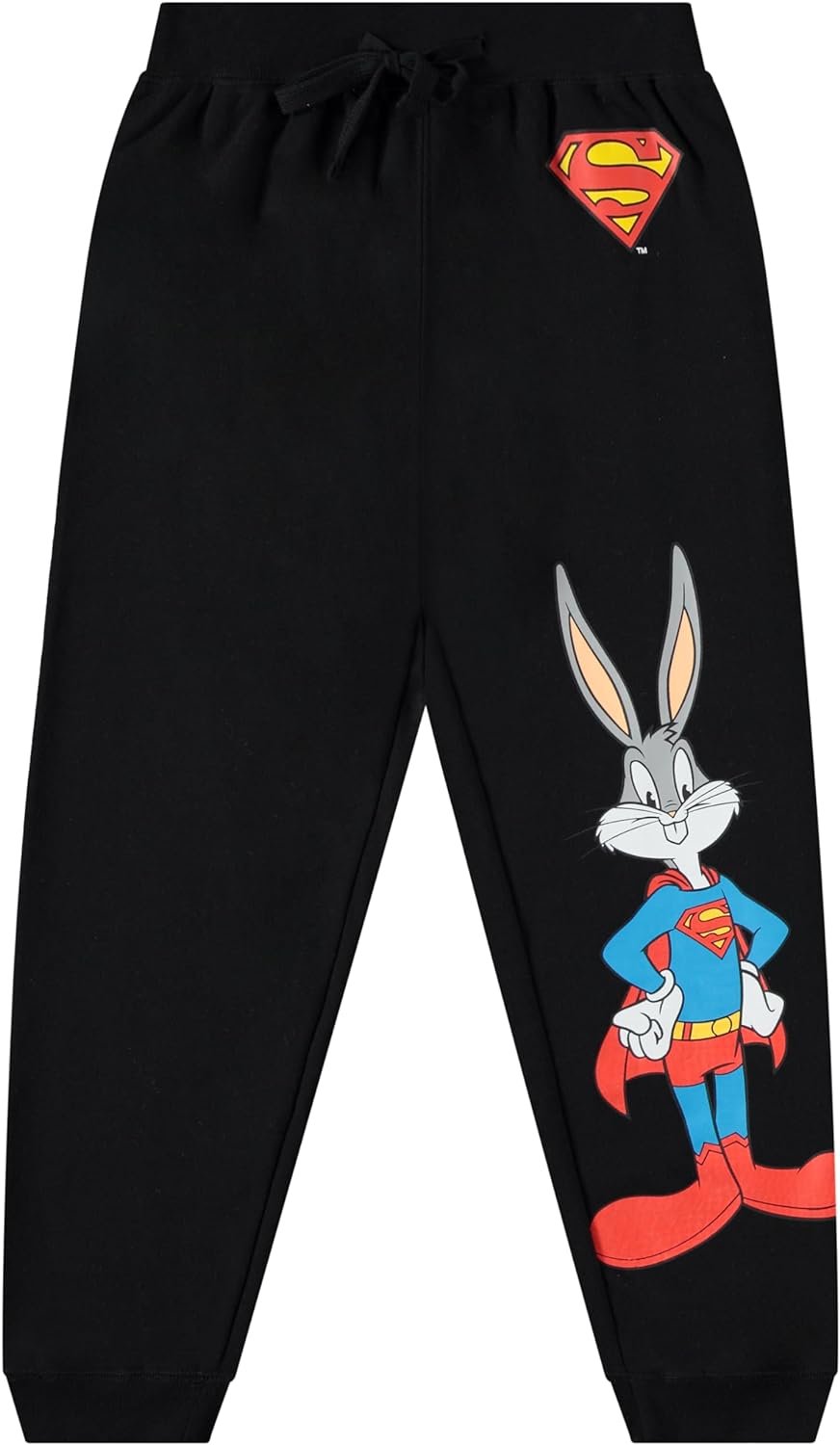 DC Comics Boys Pullover Hoodie and Jogger Sweatpants Set, Superman & Batman Sets for Little and Big Boys Sizes 4-20