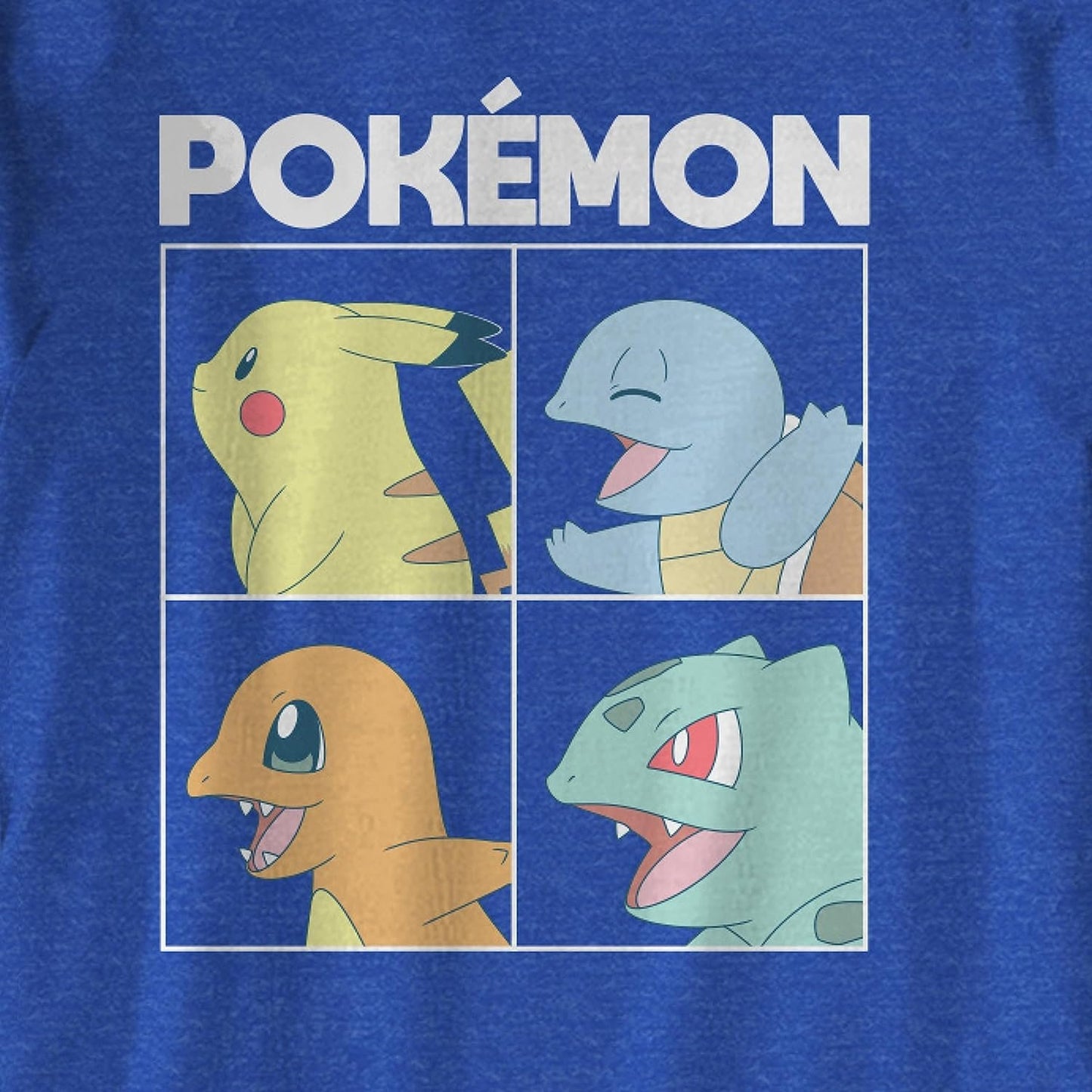 Pokemon Big Boys Charizard Long Sleeve T-Shirt Charizard Team Evolution