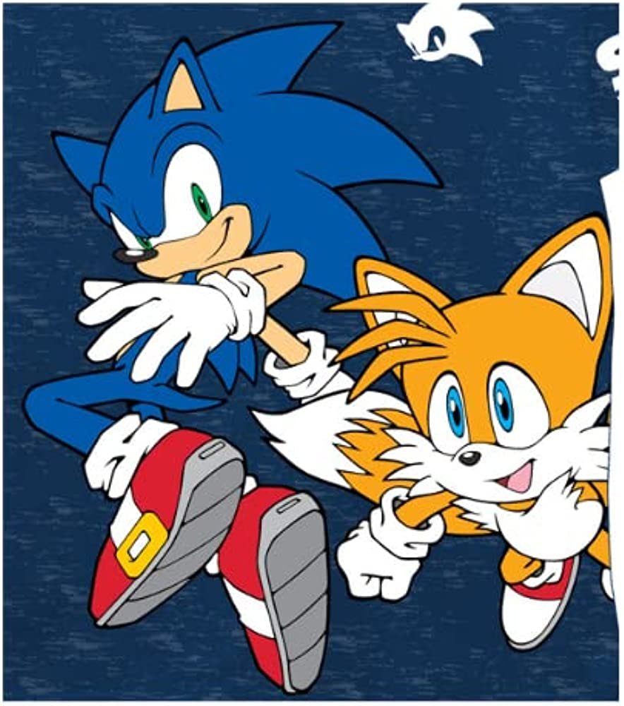 FREEZE Sonic The Hedgehog Boys Short Sleeve T-Shirt - All Over Print Design Sonic Tee