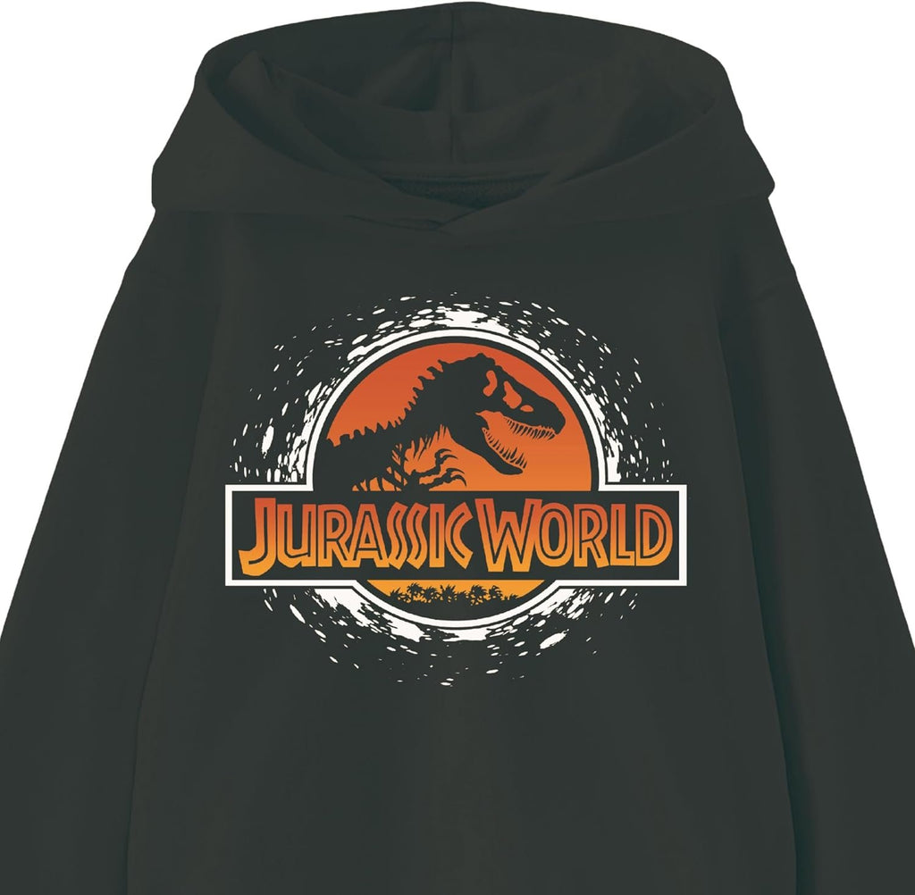 Jurassic Park Boys Jurassic World Pullover Hoddle for Youth Boys Sizes 4-7