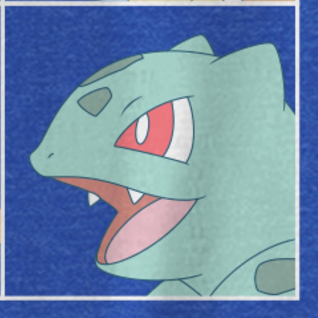 Pokemon Big Boys Charizard Long Sleeve T-Shirt Charizard Team Evolution